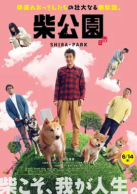 成人精品视频
