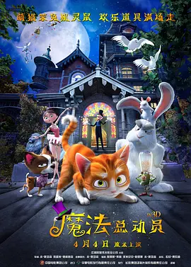 姑妈的忠告