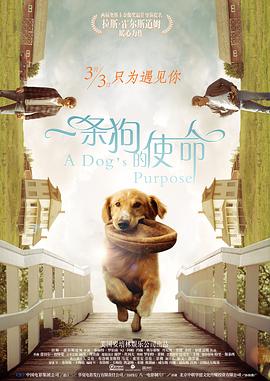 亚洲精品一区二区三区新线路