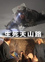 日韩精品久久久久久久