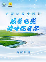 欧美福利精品福利视频在线观看