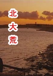 天天看片app免费版